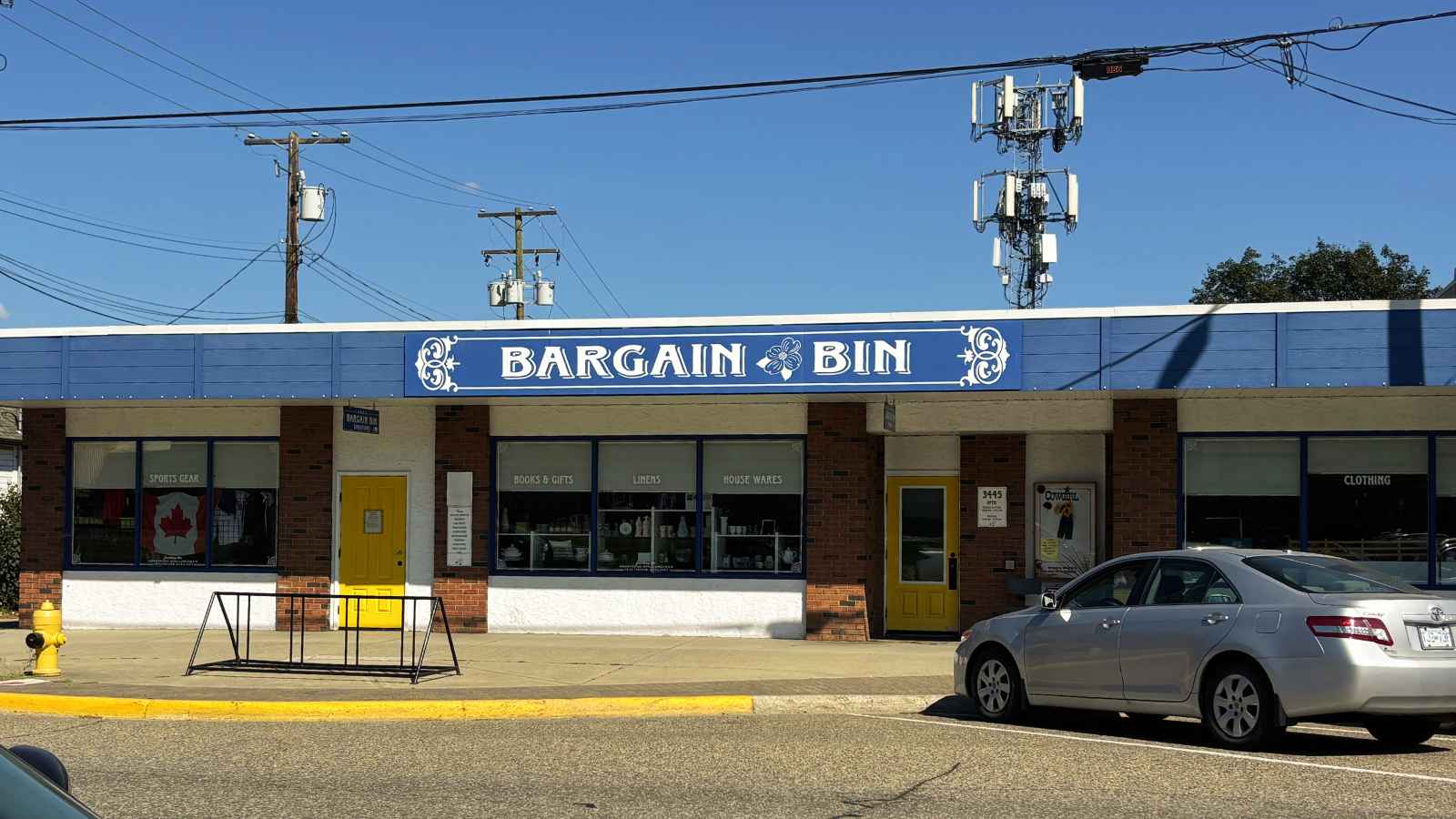 The blue Bargain Bin storefront sign above the shop windows on Pleasant Valley Road in Armstrong