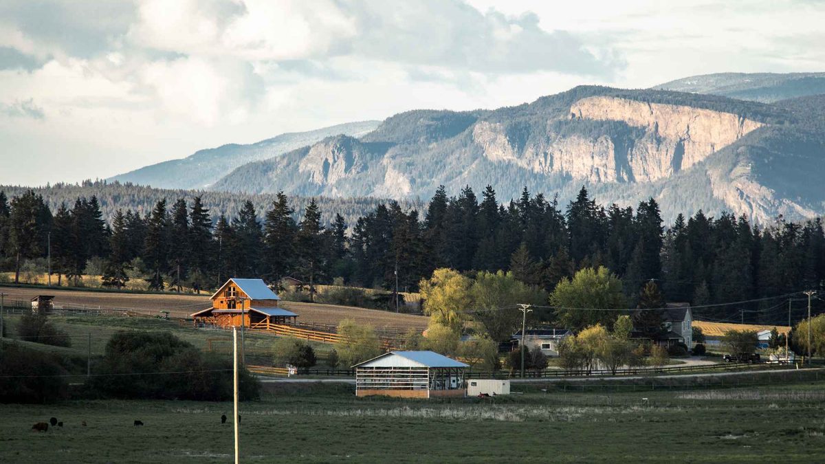 A barn and cattle pasture in Spallumcheen with the Enderby Cliffs behind